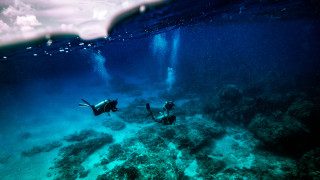 Най голямата коралова колония в света е открита на Соломоновите острови