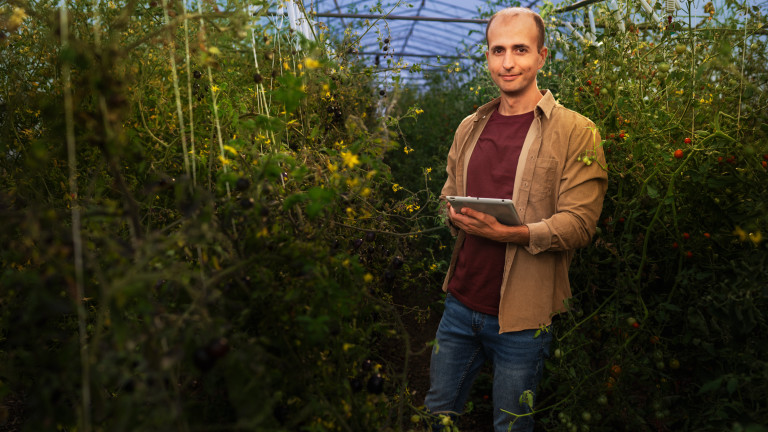 И вкусните домати се нуждаят от софтуер