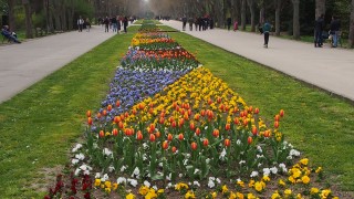 Още три разследвания за неспазване на 14 дневната карантина по време