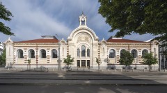 Скулпторът Живко Седларски открива днес изложбата си „Дървото на живота“ в Централни хали