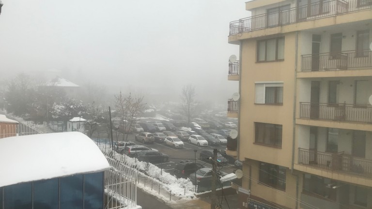 Изображение 393023