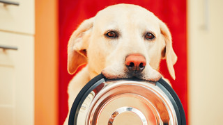 Колко пъти подред се храним от една и съща неизмита