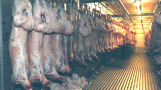 Русия започва унищожаване на тонове храни от западни държави