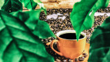 Кафе, кубинско кафе, с какво е по-различно от еспресото и как да си го приготвим