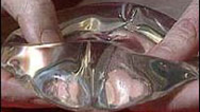 Изображение 14323