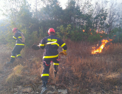 Над 50 души гасят пожар в борова гора край Априлци