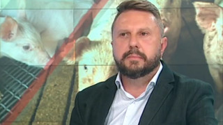 Африканската чума по свинете АЧС е вирусно заболяване което засяга