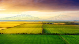 Българският фермерски съюз иска преразглеждане на Зелената сделка