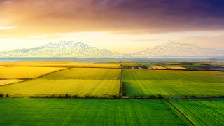 Български фермерски съюз БФС продължава с протестите защото не са