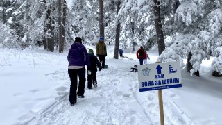 Шейни зоната на "Алеко" отвори за ваканцията