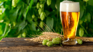 И цветята ни обичат бира - ето как да я използваме за наторяване