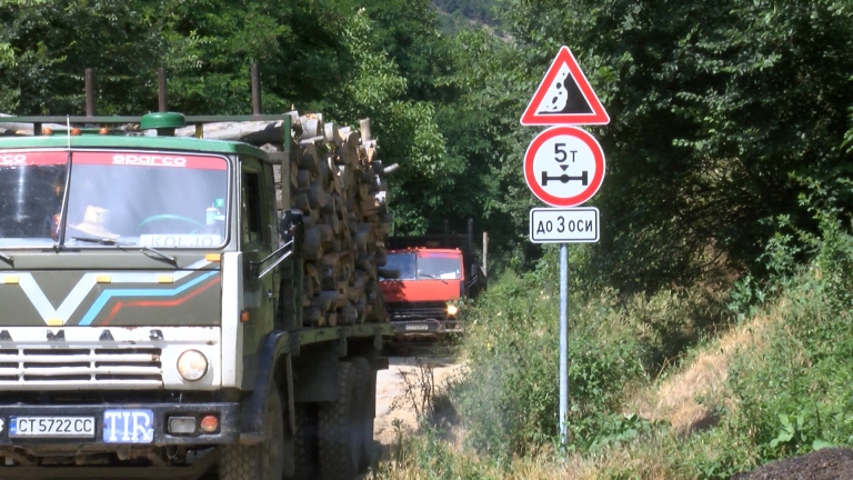 Кметове искат държавата да ограничи камионите на дървосекачите