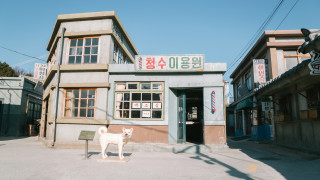 Кметът на Сеул Пак Вон сун съобщи че правителството ще затвори