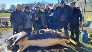 Ветераните на Берое събраха зеленото семейство за традиционното коледно тържество