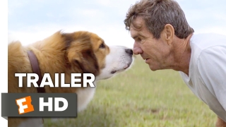 Филмът „Кучешки живот“ разказва необикновена история