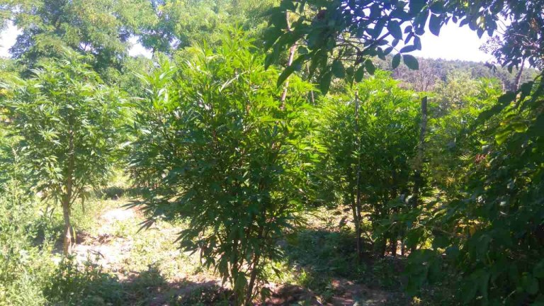 Изображение 306723