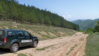 24 мигранти и водача им са задържани край Свиленград