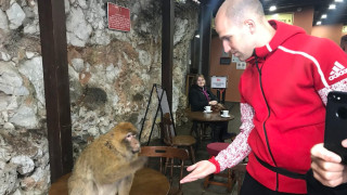 Екзотична разходка за футболистите на ЦСКА