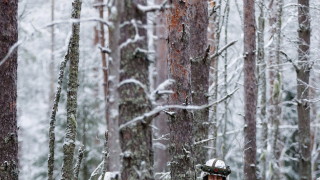 Хиляди туристи във Финландия са блокирани от студа 