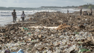 Mикробите в океаните и почвите по света са започнали да