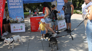 През изминалата празнична за Пловдив седмица стотици граждани на града
