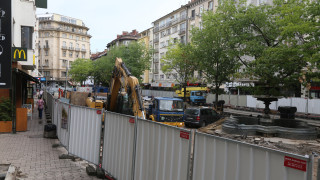 Младите дървета имат 40 по слаб капацитет на полезност отколкото по зрелите