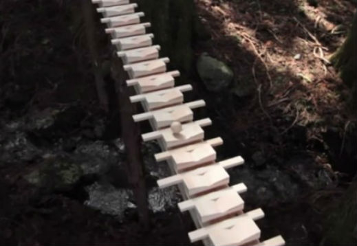 Ксилофон в гората