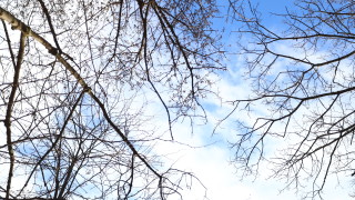 Днес отново ще е предимно слънчево с разкъсана висока облачност