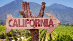 Защо калифорнийското вино е сред най-добрите в света