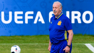 Дел Боске не се притеснява от критиките