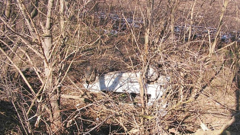 Изображение 219023