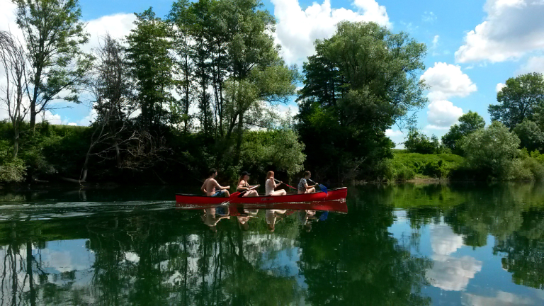 Изображение 239023