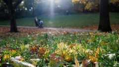 Седмицата започва със слънце