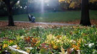 Днес сутринта на много места в низините и котловините ще