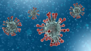 Коронавирусът и грипът - прилики и разлики