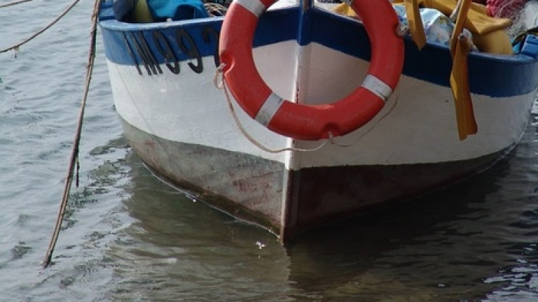 Рибари се притесняват - в Черно море няма паламуд
