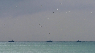 Товарен кораб се разцепи на две части в Чрено море близо