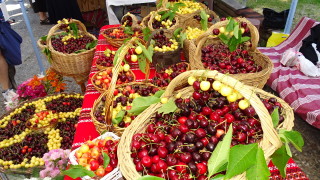 За 12 а поредна година Кюстендил празнува Празника на черешата И