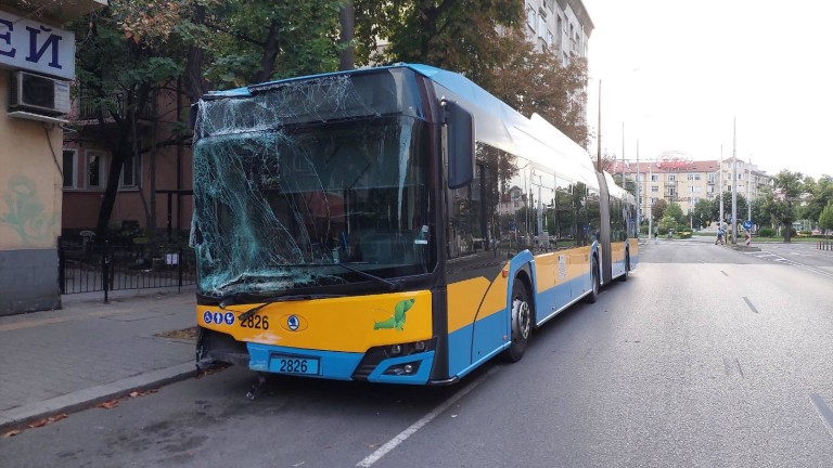 Изображение 731124