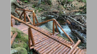 Вандали потрошиха новоизграден мост в природен парк Витоша Това
