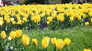 Днес ще е предимно слънчево След обяд над западната половина