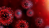  Проучване развенча тайните теории - коронавирусът е натурален, а не лабораторен 