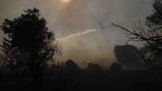 Пожарникари за трети пореден ден се борят с мащабен горски