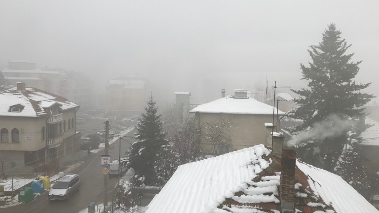 Изображение 393024