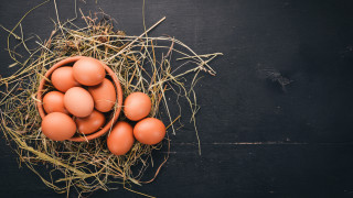 Митове и факти за яйцата