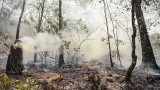  Пожарът в Новозагорско е овладян 