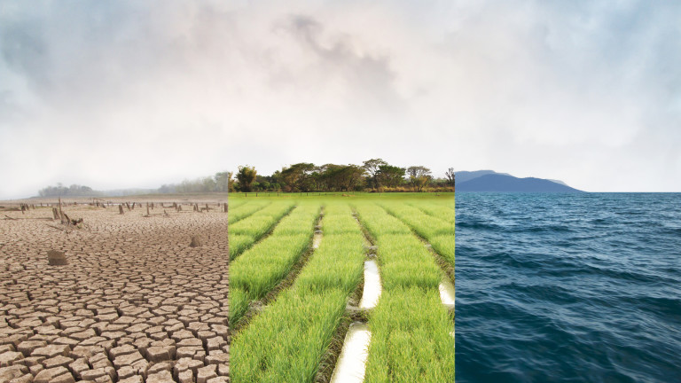 Изображение 435624