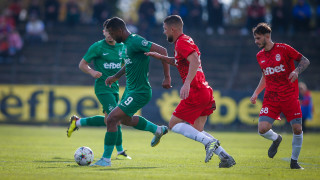 От Лудогорец осъдиха поведението на част от феновете на Розова