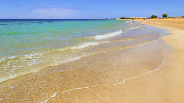 Изображение 225724