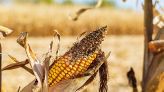 Европейската комисия предложи да се отпуснат 119 7 милиона евро за